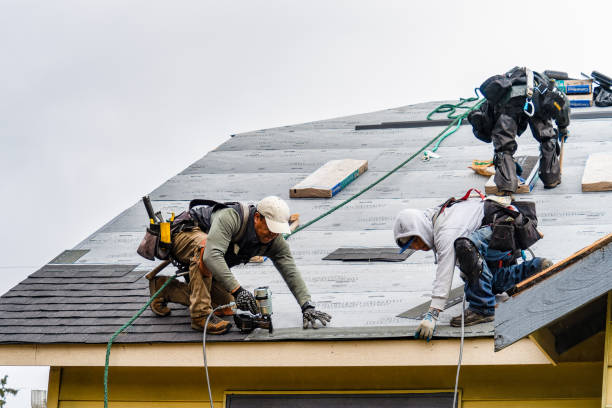 Professional Roofing technician working in Shasta, CA